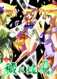 [堕落事故調査委員会 (シューミット、つみき木馬、hiro)] 穢れ蝶々 (美少女戦士セーラームーン)